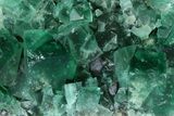 Fluorescent Green Fluorite Cluster - Rogerley Mine, England #184617-1